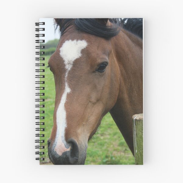 Item preview, Portrait of a cute brown horse designed and sold by Mike Colwill.