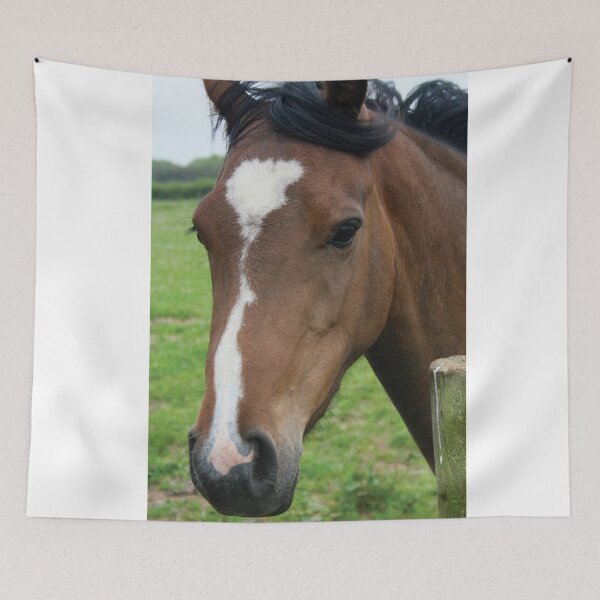 Item preview, Portrait of a cute brown horse designed and sold by Mike Colwill.