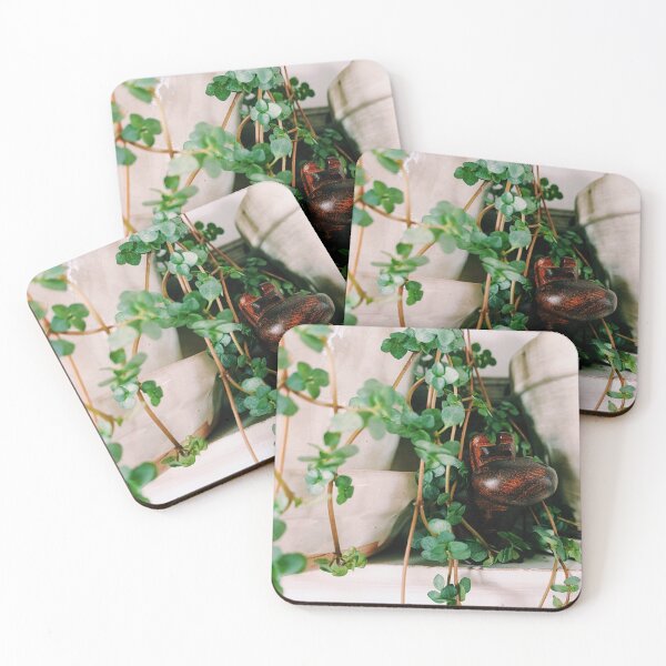 Item preview, Pilea Glauca and House Hippo designed and sold by grdnstplantmom.