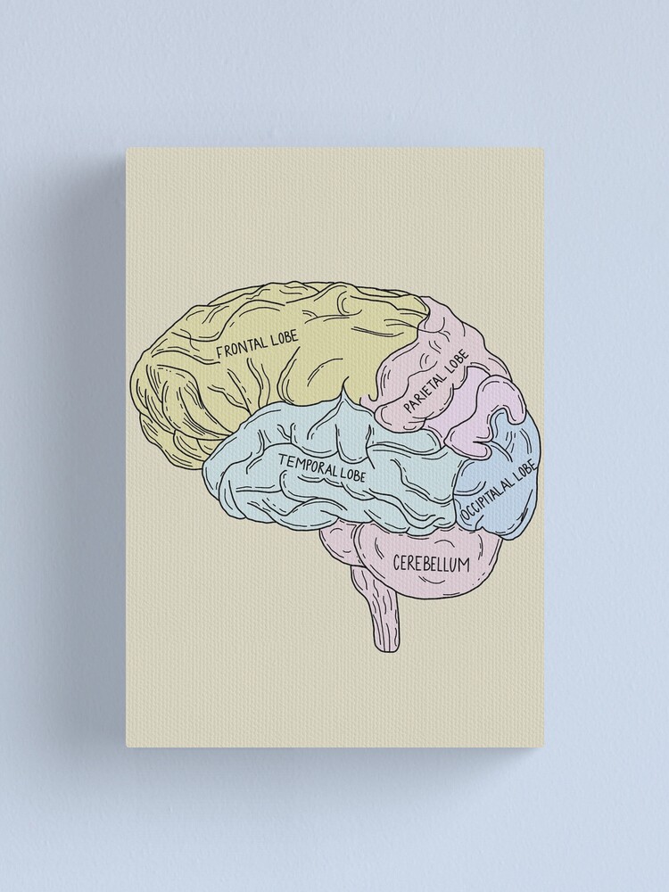 Brain Anatomy Art Tote Bag - Colorful Neuroscience Math Design For Science Lovers
