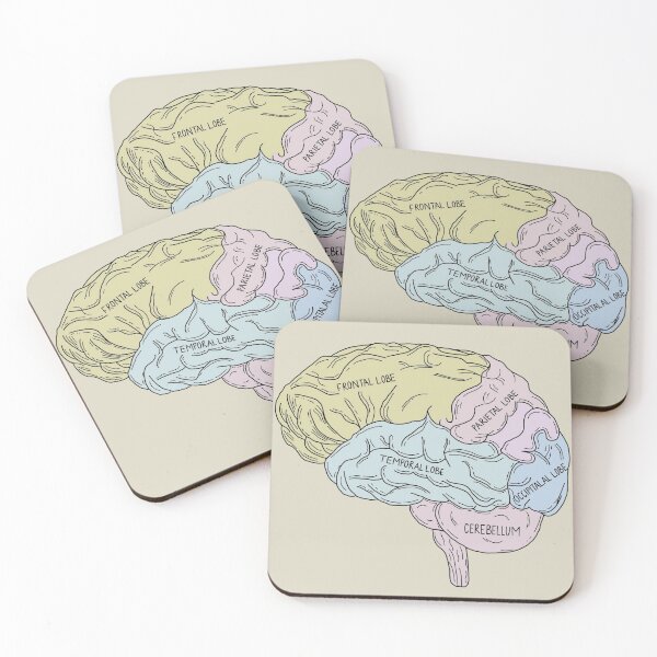 Item preview, Brain Diagram Psychology Neurology designed and sold by Katlligraphy.
