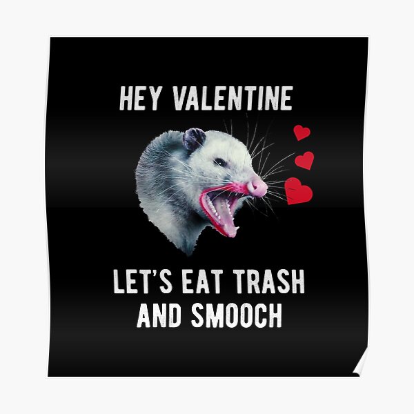 Hey Valentine Lets Eat Trash And Smooch Valentines Day Possum