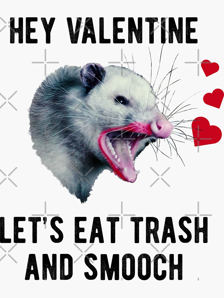 Trash Possum Valentine's Day Card