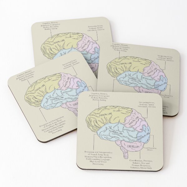 Item preview, Labeled Brain Diagram Psychology  designed and sold by Katlligraphy.