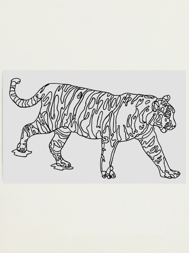 wild bengal tiger line art pattern design  Photographic Print for Sale by  Janckevannwyk