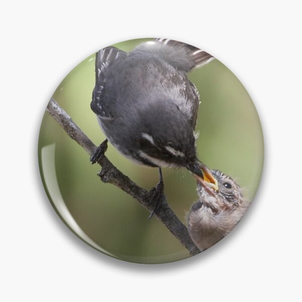 Item preview, Grey Fantail and chick ~ Thanks Mum  designed and sold by Robert Elliott.