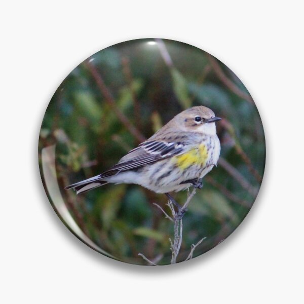 Item preview, Yellow Rump Warbler designed and sold by Cynthia48.