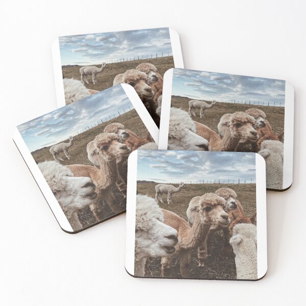 Item preview, Akaroa Alpacas, NZ designed and sold by littleatlas.