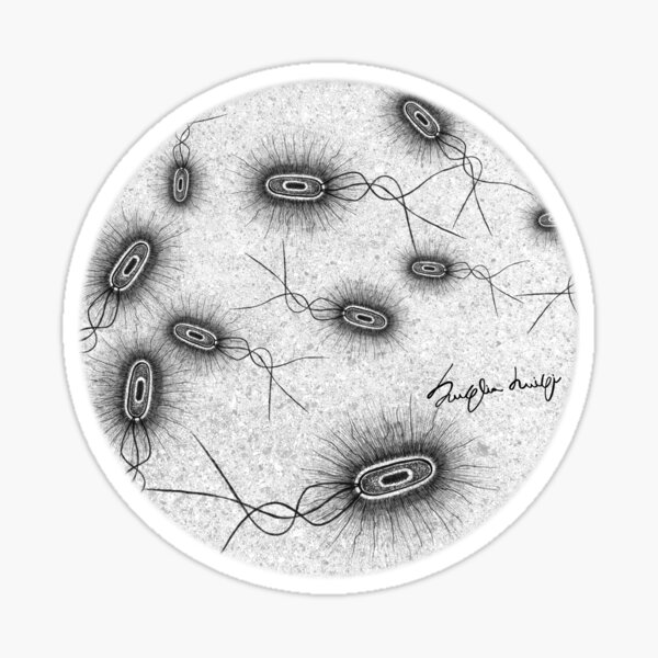 Item preview, E.Coli Bacterium designed and sold by LuigiSuglia.