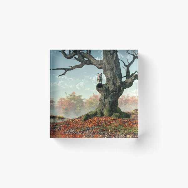 Item preview, Owl and Fall Tree designed and sold by Daniel Eskridge.