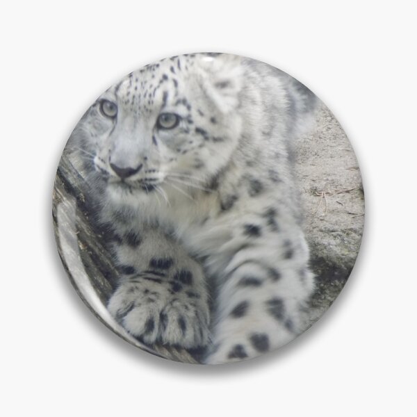 Item preview, Curious Snow Leopard Cub designed and sold by jezebel521.