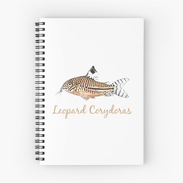 Item preview, Leopard Corydoras - For all Cory lovers designed and sold by AquariumExp.