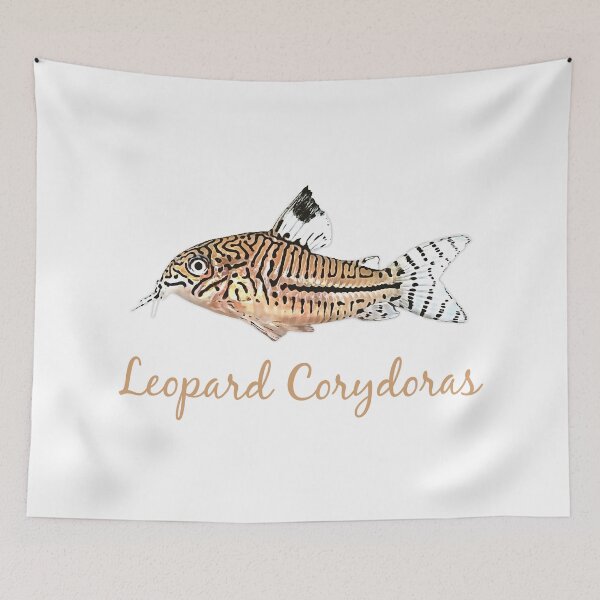 Item preview, Leopard Corydoras - For all Cory lovers designed and sold by AquariumExp.