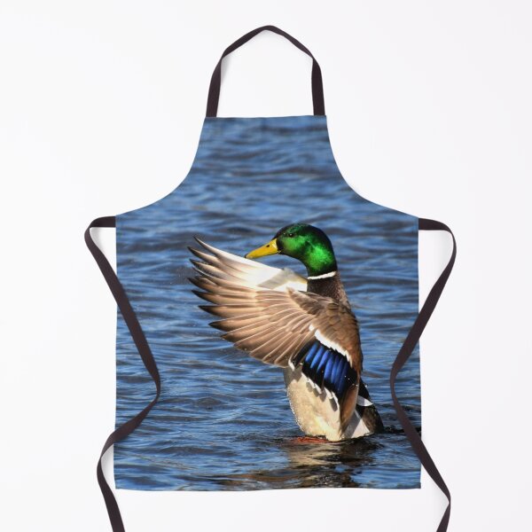 Item preview, Conducting Duck designed and sold by DonnaM.