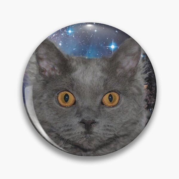 Item preview, Selkirk Rex Regan With Stars designed and sold by Kimmy  D.