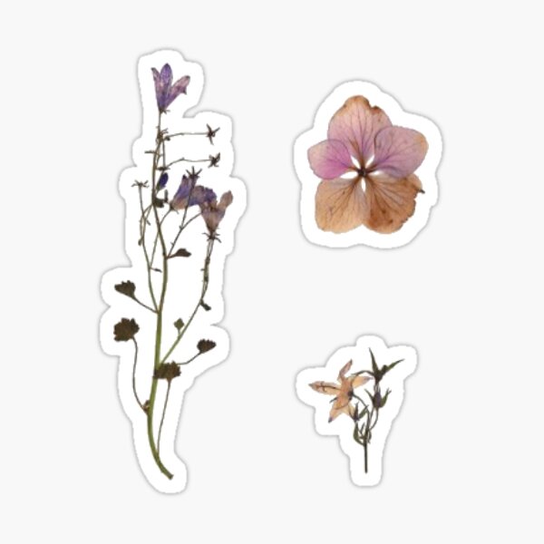 Dried Flowers Stickers Pack