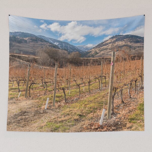 Item preview, Winter Vineyard and Snowy Mountains - Oliver, BC, Canada designed and sold by Amy Mitchell.