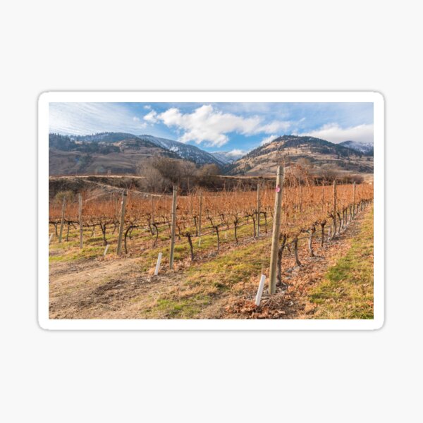 Item preview, Winter Vineyard and Snowy Mountains - Oliver, BC, Canada designed and sold by Amy Mitchell.
