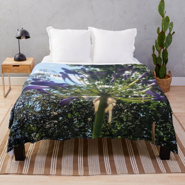 Item preview, Blue Agapanthus flower. designed and sold by Lorraine Lashley  - My Joy..