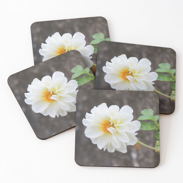 Item preview, White Dahlia Flower designed and sold by SweepingShadows.
