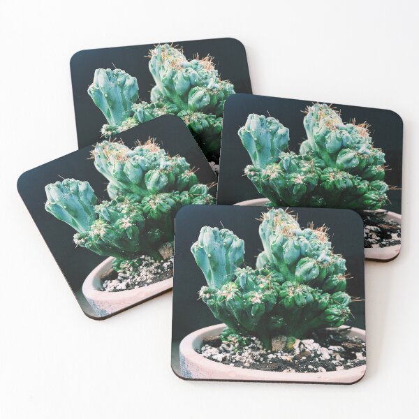 Item preview, Ming Thing Cactus 2 designed and sold by grdnstplantmom.