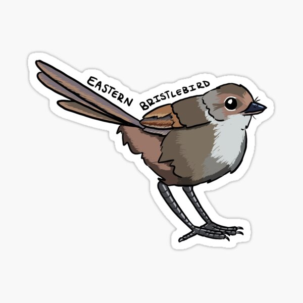 Item preview, Eastern Bristle Bird designed and sold by dweebdraws.