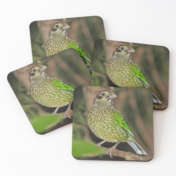 Item preview, Spotted Catbird  designed and sold by Robert Elliott.