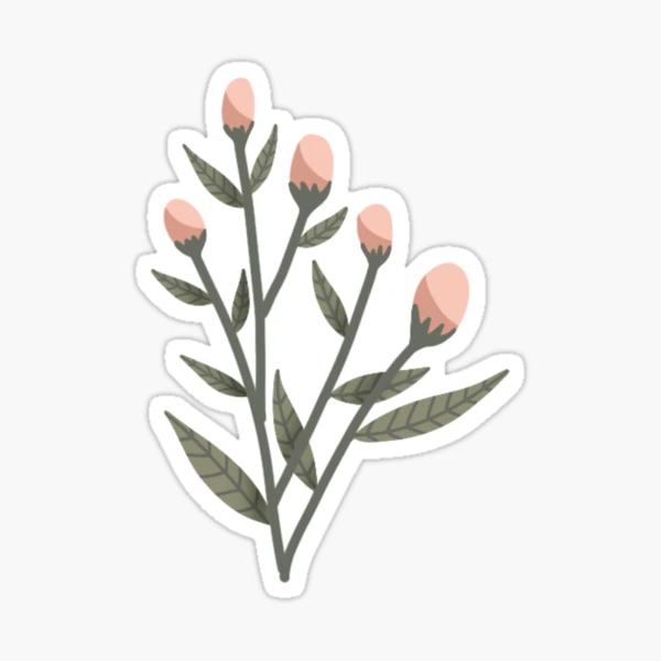 flower buds