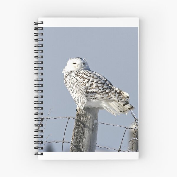 Item preview, Snowy Owl on Fencepost designed and sold by mahindle.