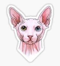 Sphynx cat portrait Sticker
