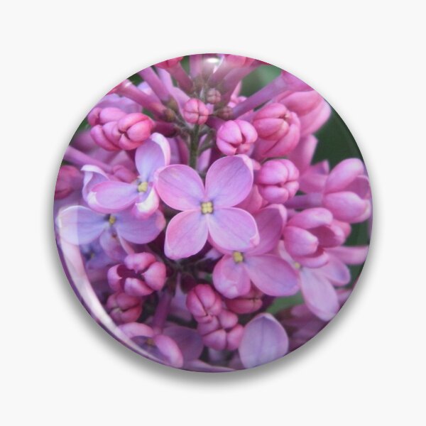 Item preview, Idaho lilac flowers designed and sold by countrypines.
