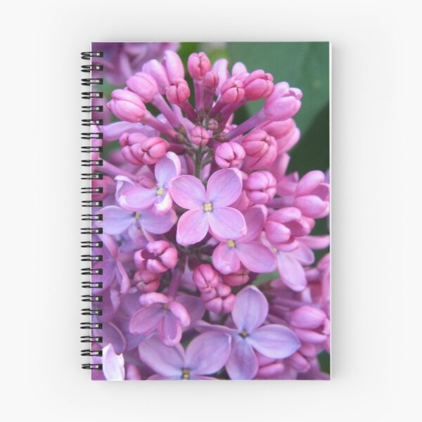Item preview, Idaho lilac flowers designed and sold by countrypines.