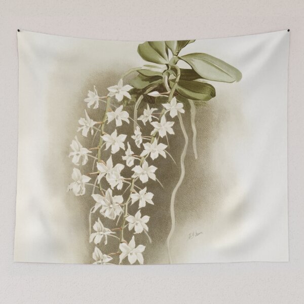Item preview, Reichenbachia: Orchids Illustrated and Described designed and sold by EsotericBotanic.