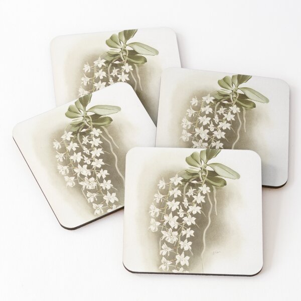 Item preview, Reichenbachia: Orchids Illustrated and Described designed and sold by EsotericBotanic.