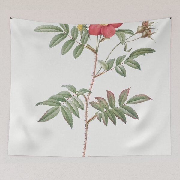 Item preview, Les Roses by Pierre-Joseph Redouté designed and sold by EsotericBotanic.