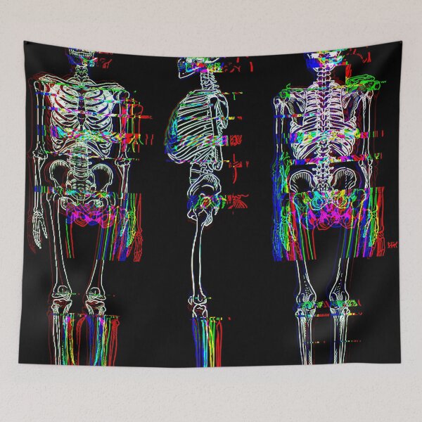 Item preview, Anatomy designed and sold by Hybrid Miranda.