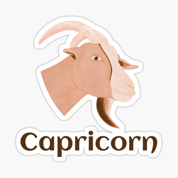 Orange Capricorn Zodiac Sign Sticker