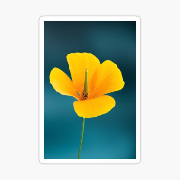 Item preview, Eschscholzia californica designed and sold by Creative by Design.