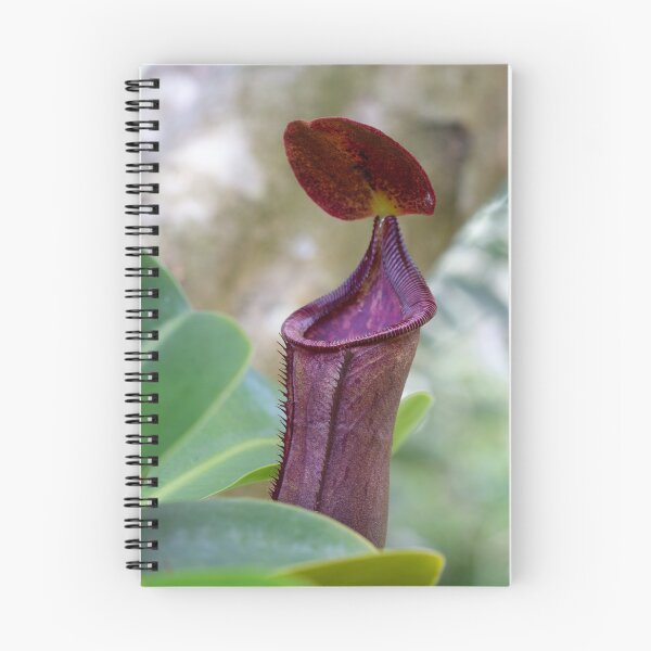 Item preview, Tropical Pitcher Plat or Nepenthes designed and sold by Trent Townsend.