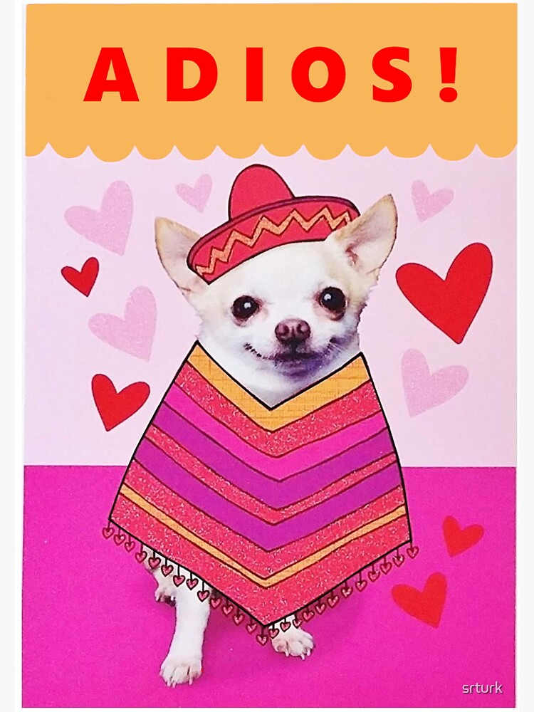 Pegatina «Chihuahua ADIOS meme (Valentine's Day)» de srturk | Redbubble