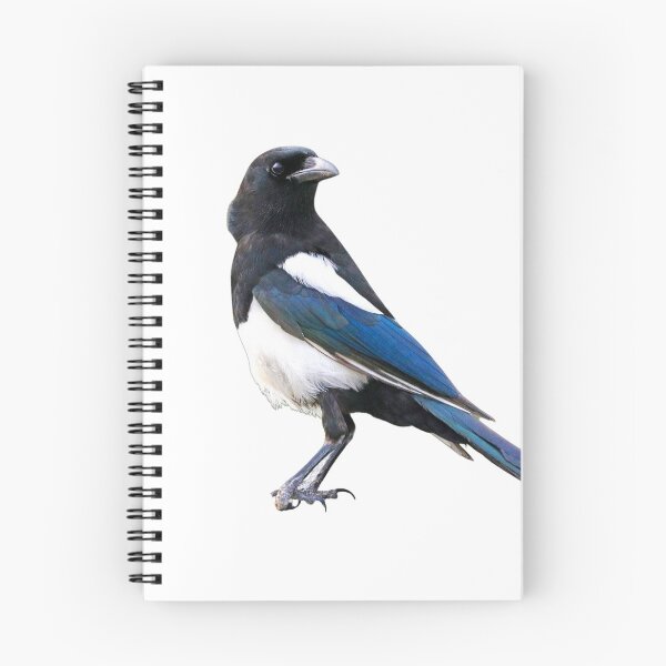 Item preview, MAGPIE - Australian Magpie Bird Portrait Aussie Wildlife designed and sold by Go Logo Designs.