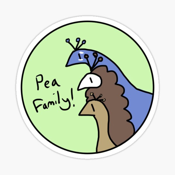 Peafowl Family Sticker