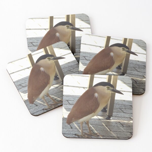 Item preview, Nankeen night heron designed and sold by greentiger1.