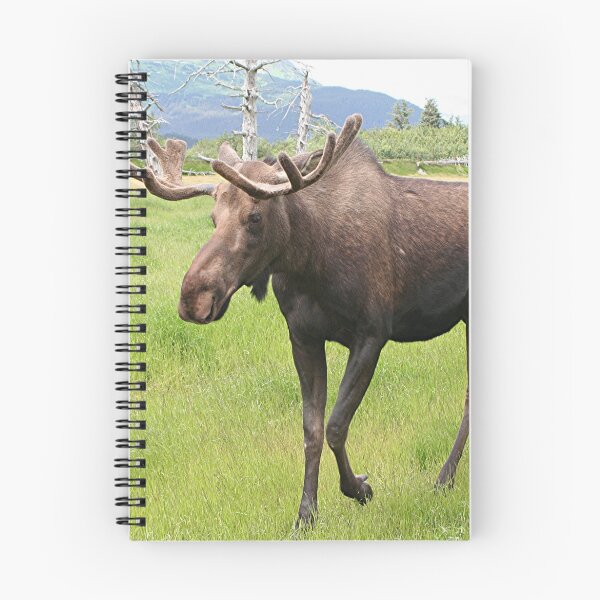 Item preview, Alaskan moose  designed and sold by FranWest.