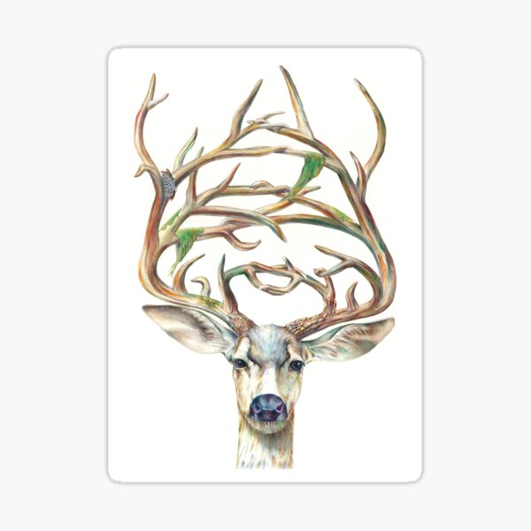 Buck Sticker