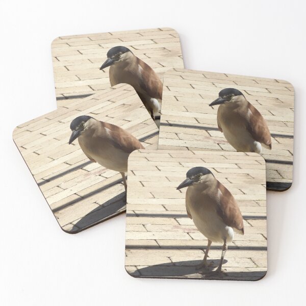 Item preview, Bold night heron designed and sold by greentiger1.