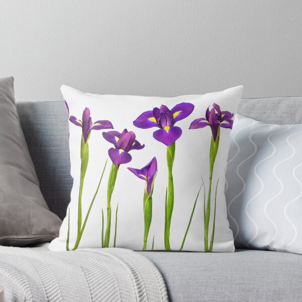 Item preview, Purple Irises Flowers Isolated on White Background Iris Flower designed and sold by SilverSpiral.