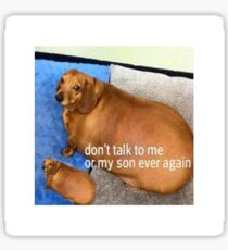 Don't Talk to me or my son ever again Sticker