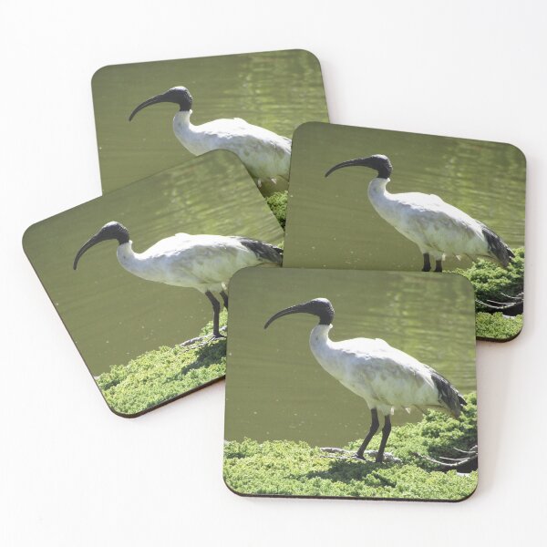Item preview, Sacred ibis designed and sold by greentiger1.