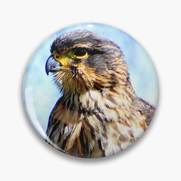 Item preview, New Zealand Falcon (1) designed and sold by Phil Le Cren.
